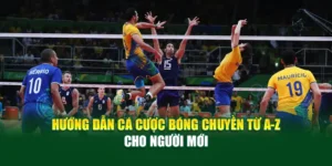 huong-dan-ca-cuoc-bong-chuyen-tu-a-z-cho-nguoi-moi