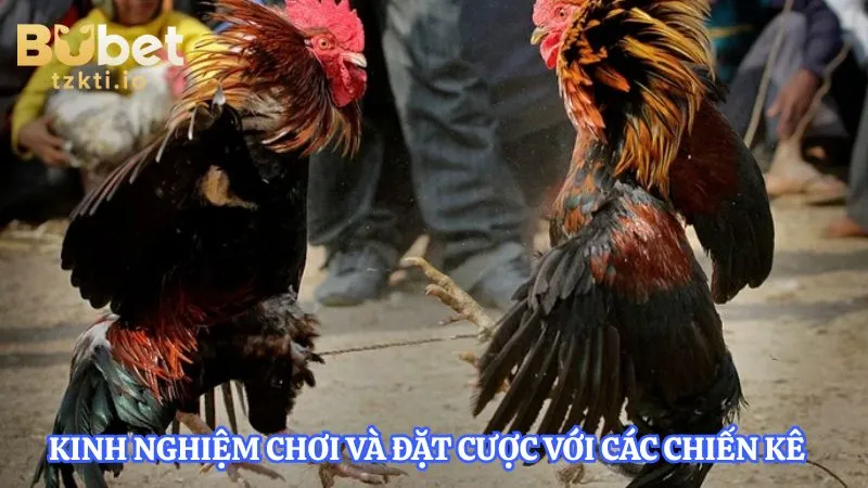 kinh-nghiem-choi-va-dat-cuoc-voi-cac-chien-ke